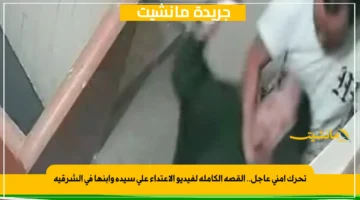 تحرك أمني عاجل.. القصة الكاملة لفيديو الاعتداء على سيدة وابنها في الشرقية